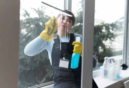 Nettoyage de vitres intérieures et extérieures à Momas